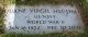 Duane Virgil Haushild Cemetery Headstone