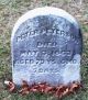 Peter Peterson (b1790) Cemetery Headstone